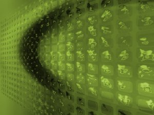 数据分片